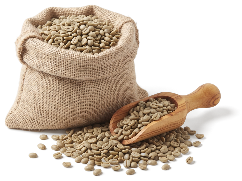 A small fique sack of green coffee beans, open, with beans spilling out and a wooden scoop