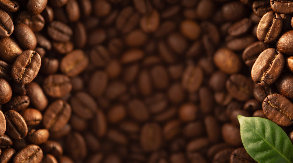 Freshly roasted coffee beans with a green coffee leaf